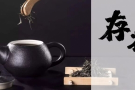 为啥今年一定要存点古树茶？