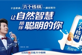 一文读懂养元六个核桃