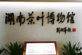 葛小松总裁考察湖南省茶业集团,洽谈全方位战略合作
