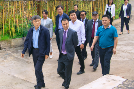云南：李春生一行考察调研云茶产业投资集团
