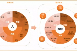 新时代，数字农业推动传统农业转型已经势在必行！