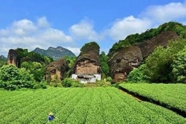 老顾客在流失 陌生顾客不进来 如何增加茶店顾客？