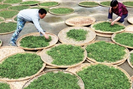 卖茶，这两句话千万不能说！