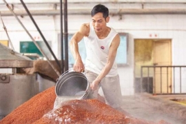重阳下沙，下的是什么“沙”?为何酱酒“下沙”在重阳?