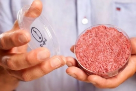造出28万美元的汉堡肉饼，细胞农业的先驱现在怎样了？