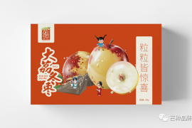 芒种直击丨大荔冬枣品牌新形象正式发布