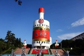 五粮液协办举行全国理性饮酒宣传周