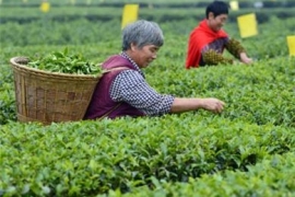 湖北农产品冲刺全年出口25亿美元目标