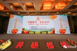 芒种动态｜常务副总经理杨巧佳参加“井研柑橘”品牌（杭州）推介会