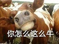 可口可乐注册“可NIU了”商标