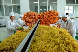 农业农村部：到2025年农产品加工环节损失率降到5%以下