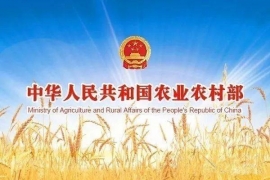农业农村部：“十四五”把保粮食总量放在保