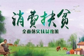 产销对接畅销路 消费扶贫力量大