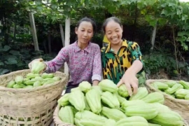 广州南沙区打造产业扶贫新模式