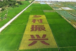 乡村振兴既是“大蓝图” 也是出行业“大蛋糕”