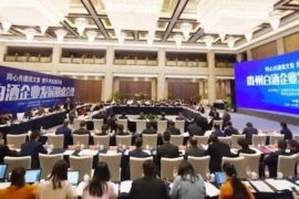 回顾一：同心聚力，首届“发展圆桌会议”达成五个共识