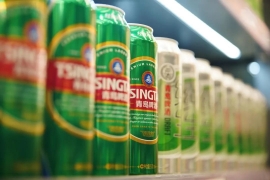 高端赋能品牌驱动活力绽放！青岛啤酒一季度业绩再创历史新高