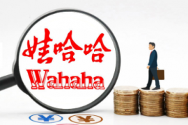 娃哈哈推出快销网：实现电商与联销体共融