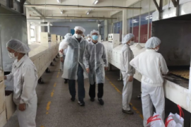 光明食品集团党委副书记朱晨红一行深入冠生园益民公司进行高温慰问和工作调研