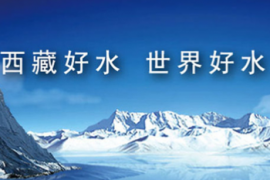西藏水资源：上半年净利同比下降11.5%