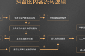 一文搞懂“抖、红、知、视”流量算法