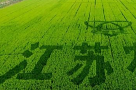 国家队江苏农垦:为长三角农业高质量发展注入强劲动力