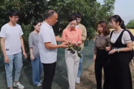 这座被低估的中国城市，如何孕育出一家世界级的坚果企业