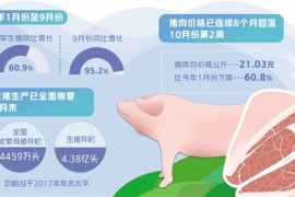 生猪供应相对过剩仍将持续