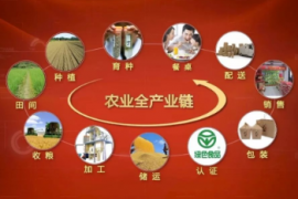 政策加持！国家发力农业全产业链，“链主”企业受青睐