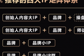 IP和品牌矩阵搭建指南，请转发给操盘手