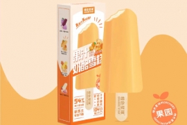 获千万级天使轮融资，橙色星球切入1600亿冰品市场