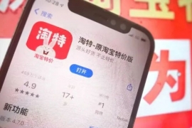 淘特「下沉」，小镇过新年