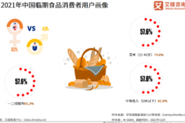 2021-2022年中国临期食品行业发展及案例研究报告