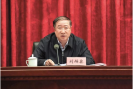 国家乡村振兴重点帮扶县干什么、怎么干？刘焕鑫讲透了