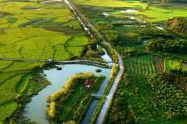 数字乡村建设，让农民生活更美好