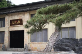 小酒庄，如何在强者如林的酒业江湖中“开天辟地”？