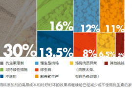 2022年全球家禽营养与饲料调查报告新鲜出炉