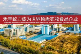 禾丰：饲料向“欧式配方”转型