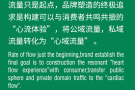 心域流量：数字时代的品牌建设“心法”