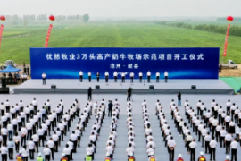 牧场优势明显，新疆乳企迎来“疆奶出疆”机遇期
