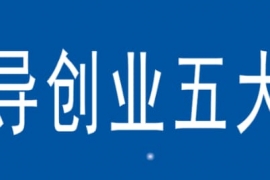 领导创业五大傻