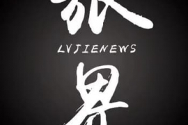 为什么“山寨李鬼”酒店遍地开花？